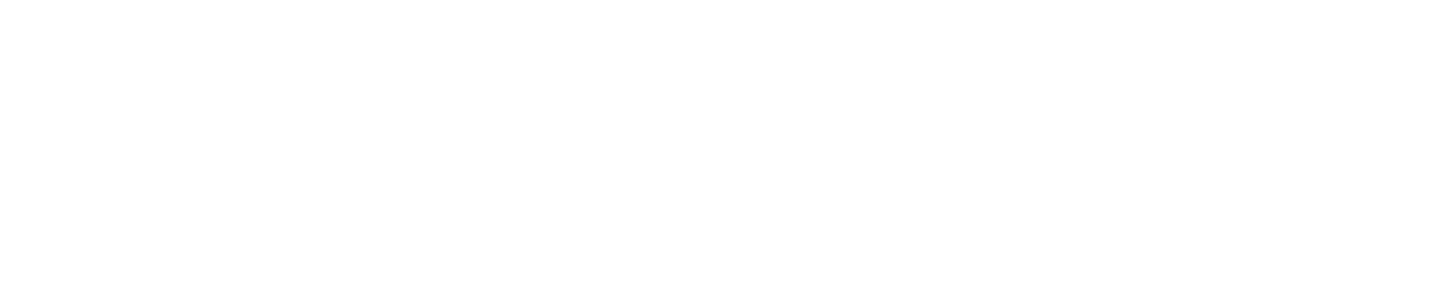 Bricks AI